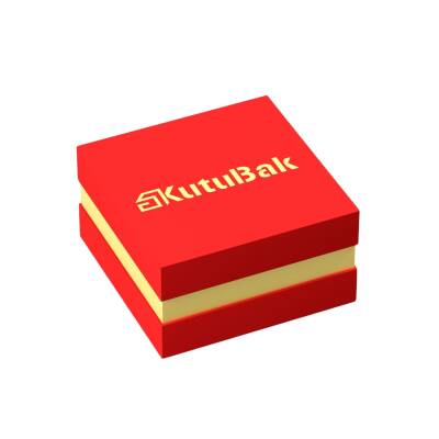 Çift Kapak Duble Kelepçe Kutusu - 5