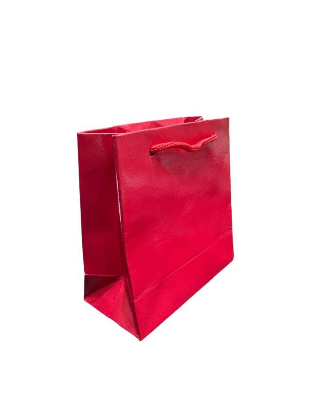 Hediyelik Karton Çanta Poşet (25 Adet - 18x13 cm) - 2