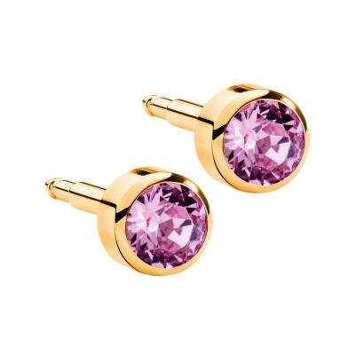 NİNA Taşlı Altın Kaplama Medikal Kulak Delme Küpesi 12 Çift - KutuBak