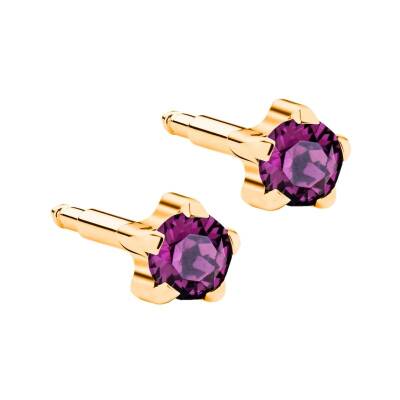 NİNA Tırnaklı Altın Kaplama Medikal Kulak Delme Küpesi Mor 12 Çift - KutuBak