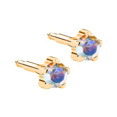 NİNA Tırnaklı Altın Kaplama Medikal Kulak Delme Küpesi Renkli 12 Çift - KutuBak