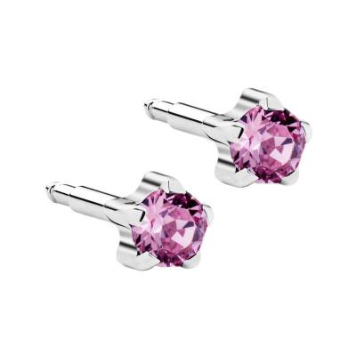 NİNA Tırnaklı Çelik Medikal Kulak Delme Küpesi Rose 12 Çift - KutuBak