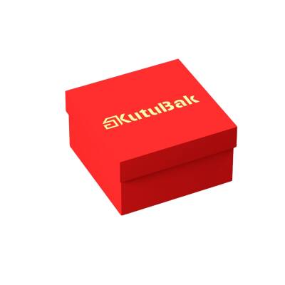 Tek Kapak Duble Kelepçe Kutusu - 4